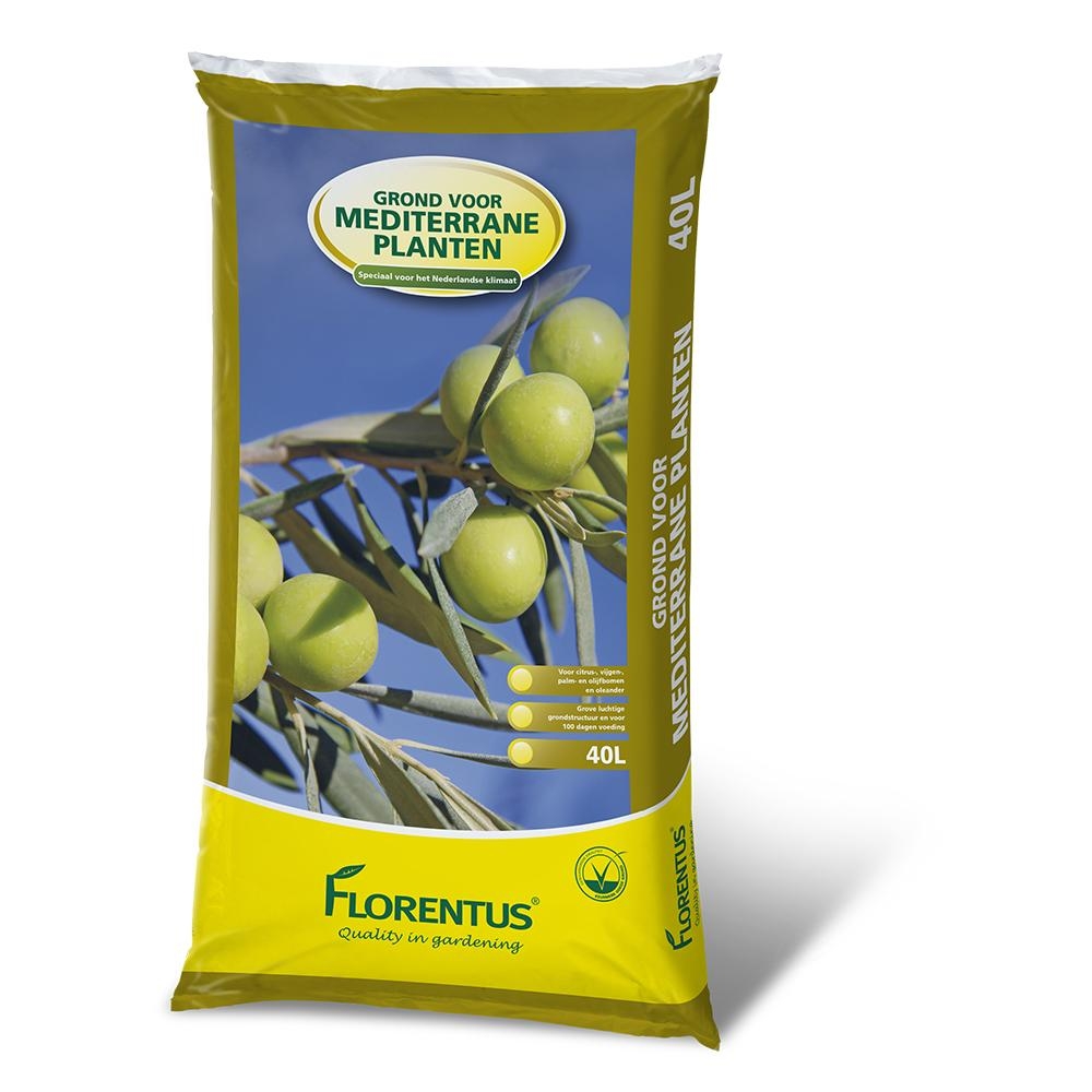 Pallet Florentus Mediterrane planten