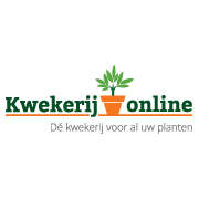 Bosstruisriet - Calamagrostis arundinacea