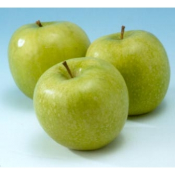 Appelboom - Malus d. Granny Smith